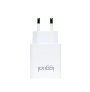 Cargador de pared 1xUSB 5V/2.4A (12W)