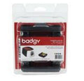 CBGR0100C cinta para impresora 100 páginas