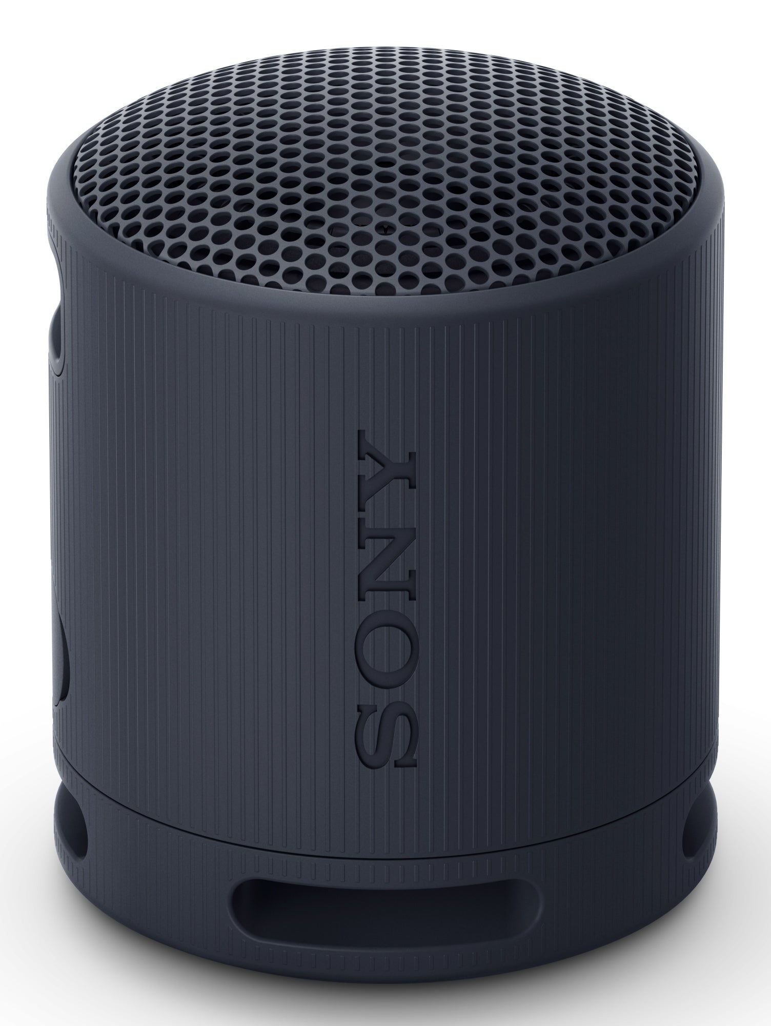 SRS-XB100 Altavoz monofónico portátil Negro