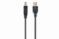 CCP-USB2-AMBM-10 cable USB 3,04 m USB A USB B Negro