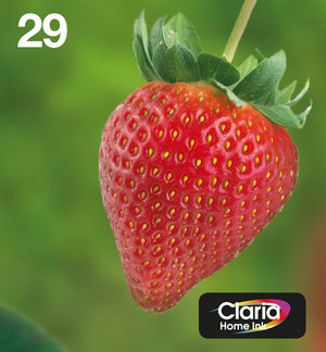 Strawberry Multipack 4-colours 29 EasyMail