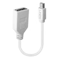 41021 cable DisplayPort 0,15 m Mini DisplayPort Blanco