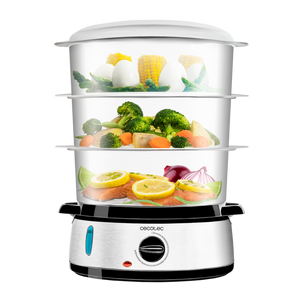 Vaporera eléctrica Cecotec Vapovita 3000 Inox