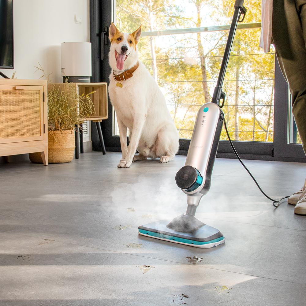 Vaporeta vertical Cecotec HydroSteam 3030 Active