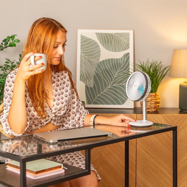 Ventilador de sobremesa Cecotec EnergySilence 4000 Portable Desk