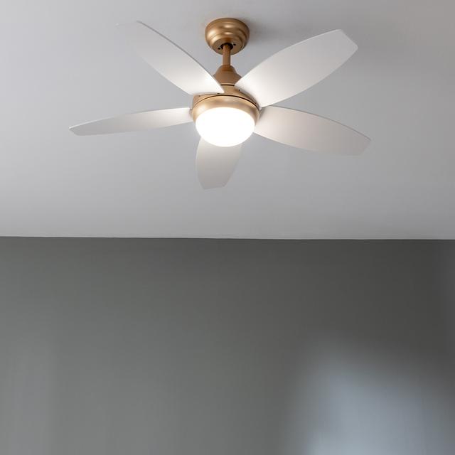 Ventilador de techo Cecotec EnergySilence Aero 4200 GoldLightWood