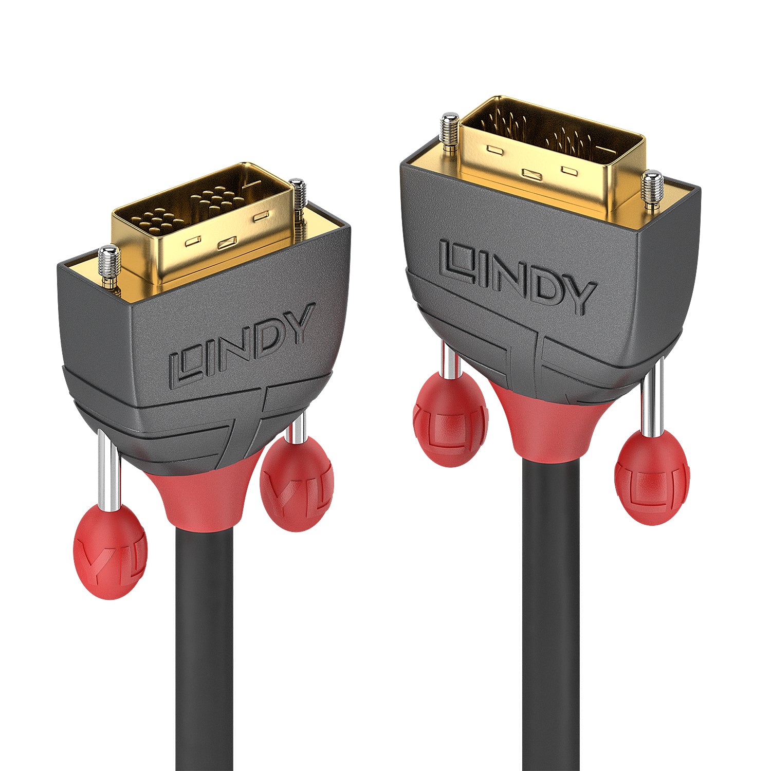 36243 cable DVI 25 m DVI-D Negro