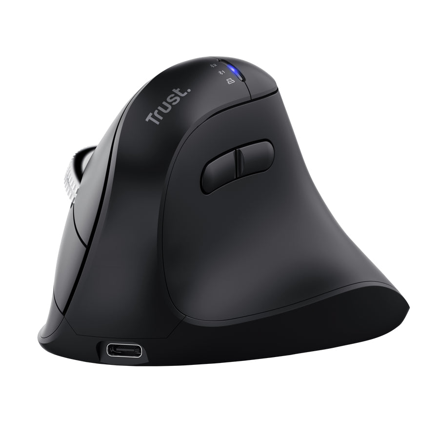 Vyran ratón Universal mano derecha RF Wireless + Bluetooth Óptico 4800 DPI