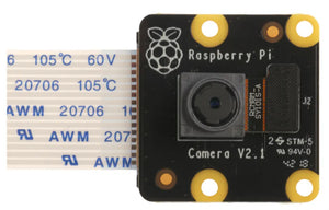 PiNoir Camera Module V2.1 Cámara Multicolor