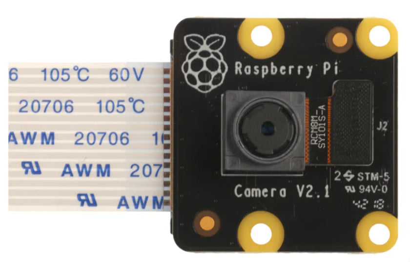 PiNoir Camera Module V2.1 Cámara Multicolor