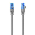 Cable De Red Latiguillo RJ45 Cat.6 UTP AWG26 CCA, Gris, 30 cm