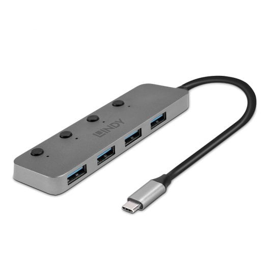43383 hub de interfaz USB 3.2 Gen 1 (3.1 Gen 1) Type-C 5000 Mbit/s Gris