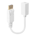 41060 adaptador de cable de vídeo 0,15 m DisplayPort Mini DisplayPort Blanco