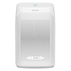 BigDry 2000 Essential 0,7 L 35 dB 23 W Blanco