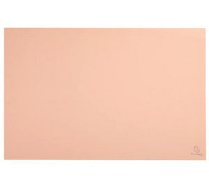60161D protector de escritorio Cartón Coral