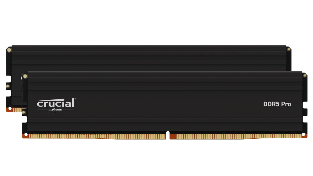 Pro CP2K16G56C46U5 módulo de memoria 32 GB 2 x 16 GB DDR5 288-pin DIMM