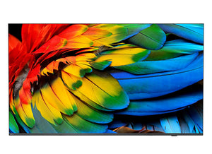 50HFL6214U 127 cm (50") 4K Ultra HD Smart TV Wifi Antracita 400 cd / m² Pantalla flexible