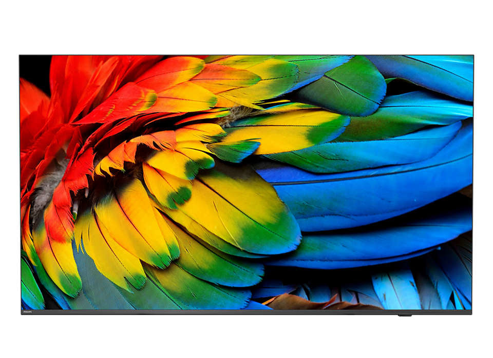 50HFL6214U 127 cm (50") 4K Ultra HD Smart TV Wifi Antracita 400 cd / m² Pantalla flexible