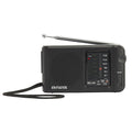 RS-44 radio Portátil Analógica Negro