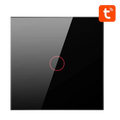 Avatto LZTS02-EU-B1 1 Botón ZigBee Negro - Interruptor Táctil Inteligente