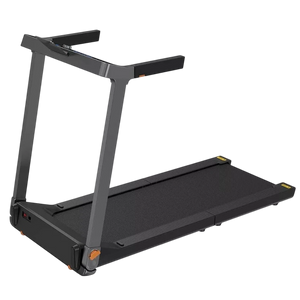 Cinta de Correr Kingsmith WalkingPad G1