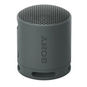 Sony SRS-XB100 Negro