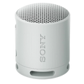 Sony SRS-XB100 Gris