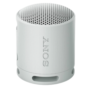 Sony SRS-XB100 Gris