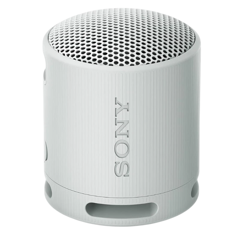 Sony SRS-XB100 Gris