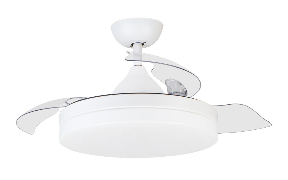 CP 122105 Blanco