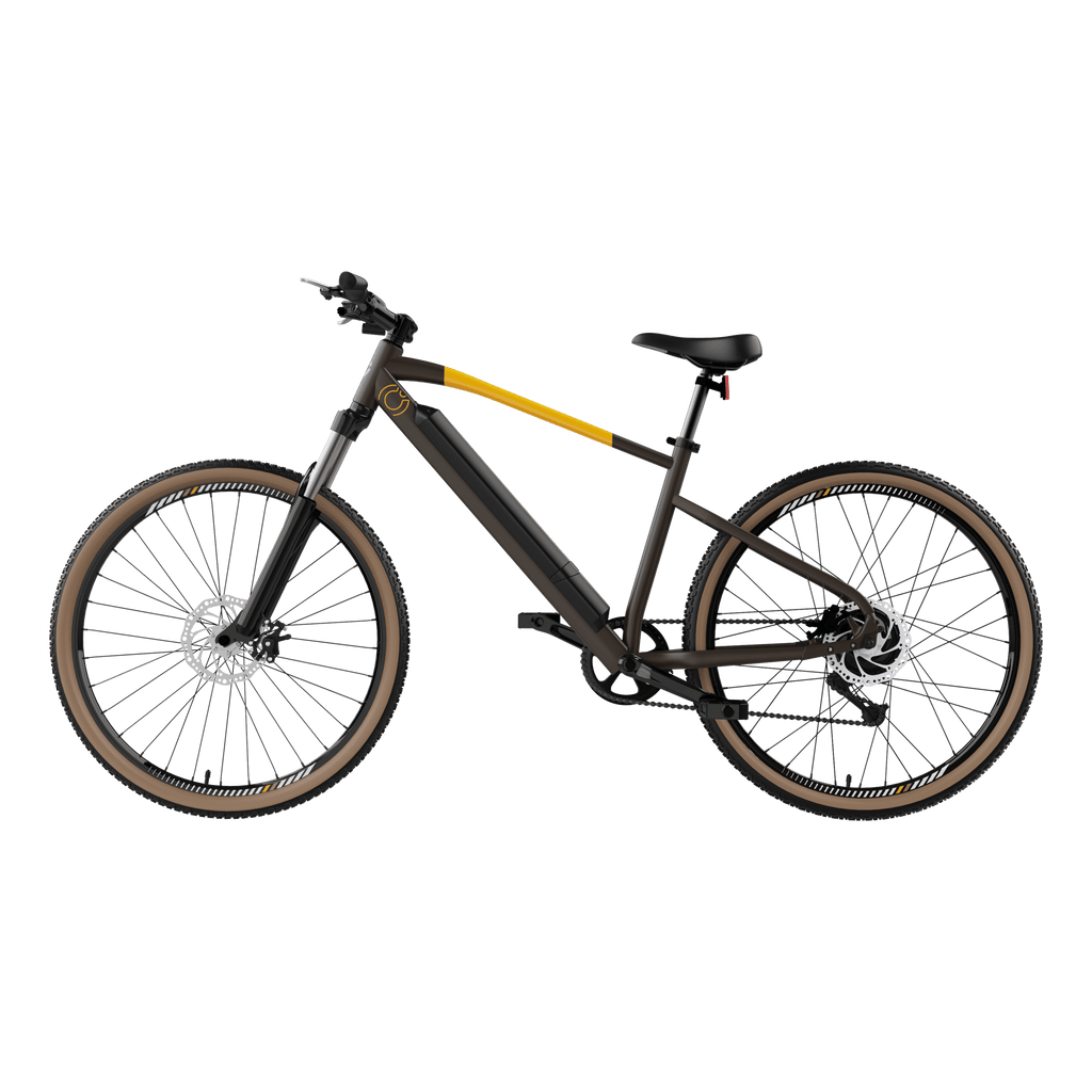 Bicicleta el�ctrica E-Xplore Pro