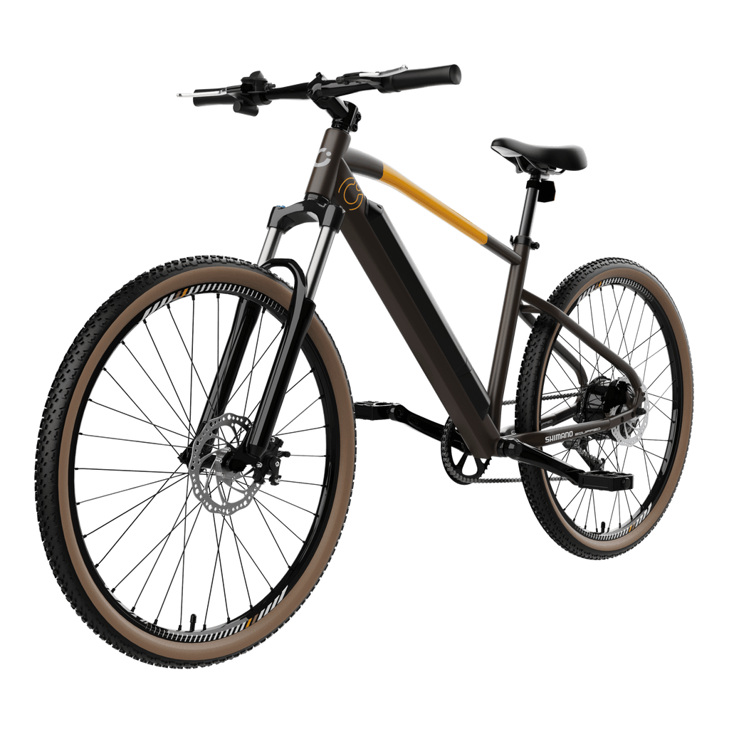 Bicicleta el�ctrica E-Xplore Pro