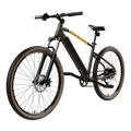 Bicicleta el�ctrica E-Xplore Pro