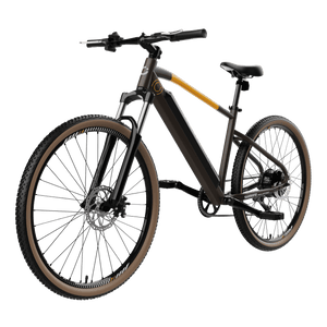 Bicicleta el�ctrica E-Xplore Pro