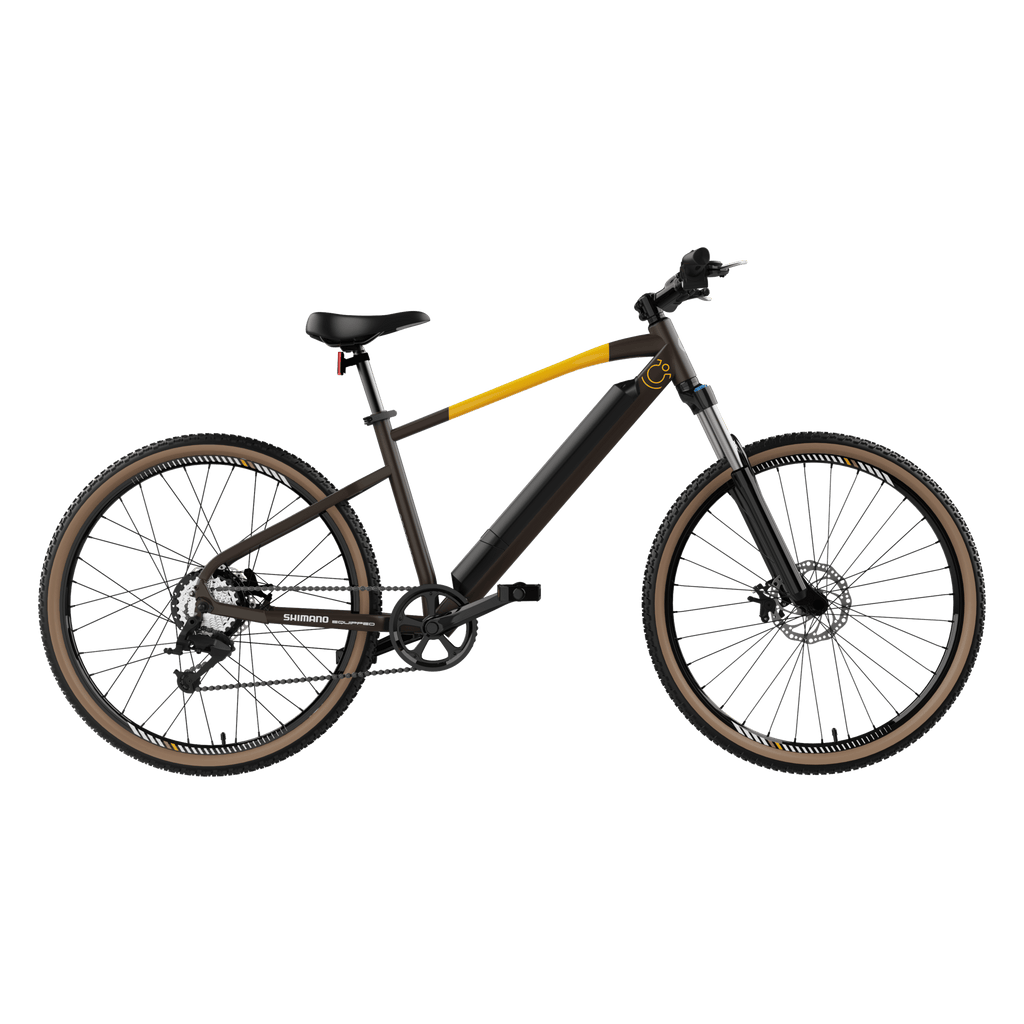 Bicicleta el�ctrica E-Xplore Pro