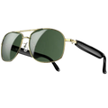 Gold view D1 Pro Gafas Inteligentes Gold 