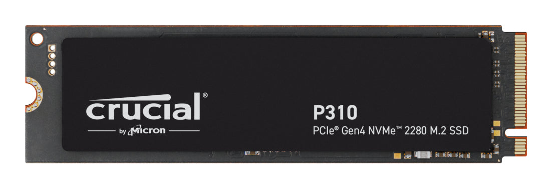 P310 500 GB M.2 PCI Express 4.0 NVMe