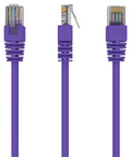 Gembird RJ45/RJ45 Cat5e 1m cable de red Púrpura U/UTP (UTP)