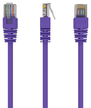 Gembird RJ45/RJ45 Cat5e 1m cable de red Púrpura U/UTP (UTP)