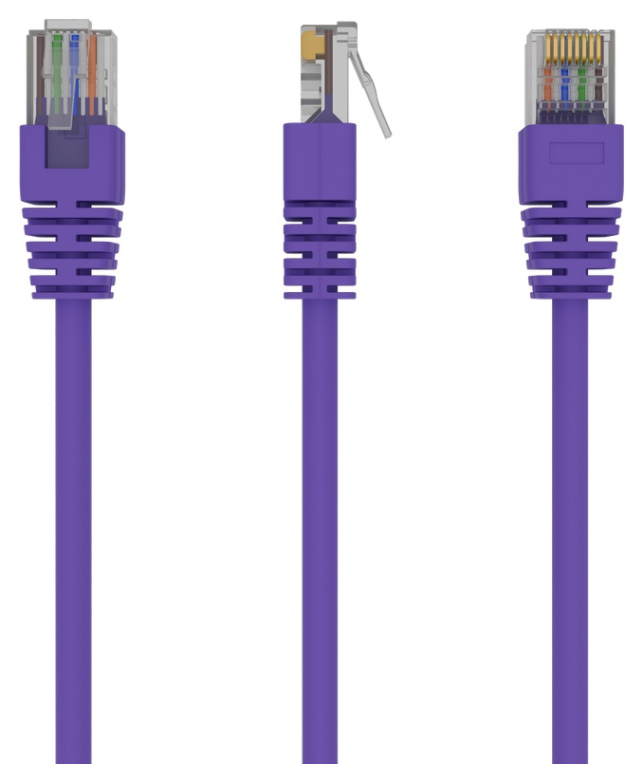 Gembird RJ45/RJ45 Cat5e 1m cable de red Púrpura U/UTP (UTP)