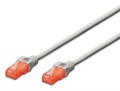 Ewent IM1033 cable de red Gris 20 m Cat6 U/UTP (UTP)