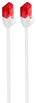 Ewent IM1035 cable de red Blanco 0,25 m Cat6 U/UTP (UTP)