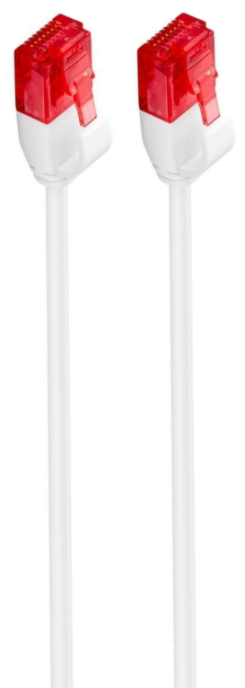Ewent IM1035 cable de red Blanco 0,25 m Cat6 U/UTP (UTP)
