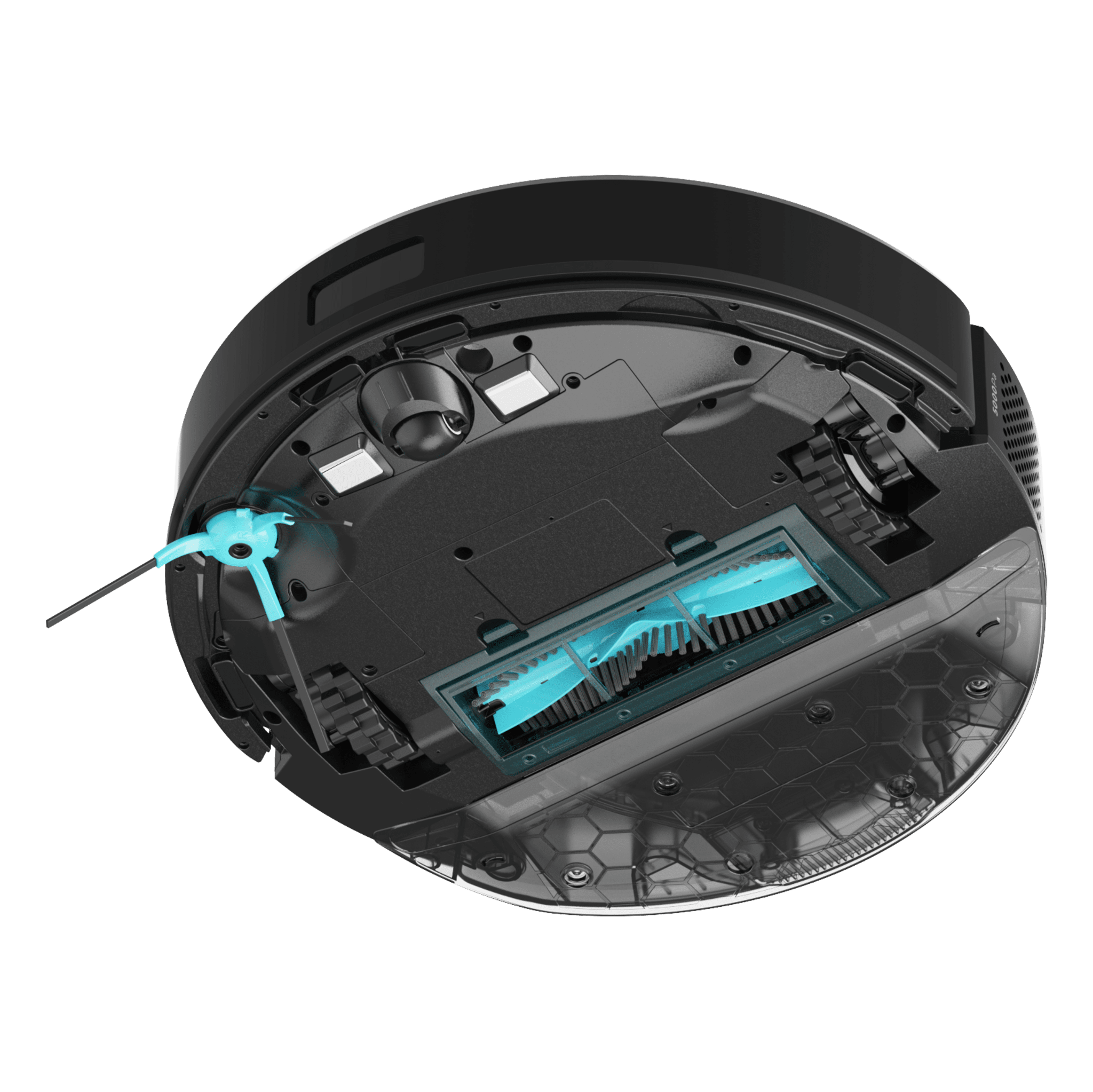 Conga M50 X-Treme