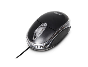 BDM02UF ratón Ambidextro USB tipo A Óptico 800 DPI