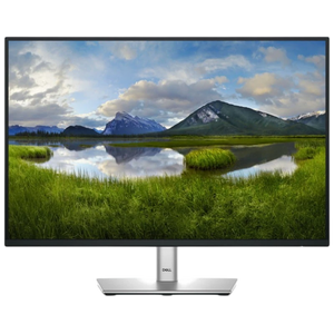 DELL P Series P2425 24.1 WUXGA IPS 100 Hz Negro