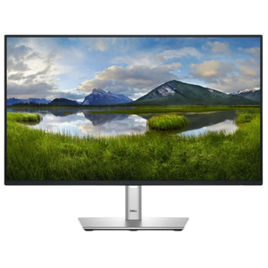Dell P Series P2425HE 24" FullHD IPS 100Hz Negro