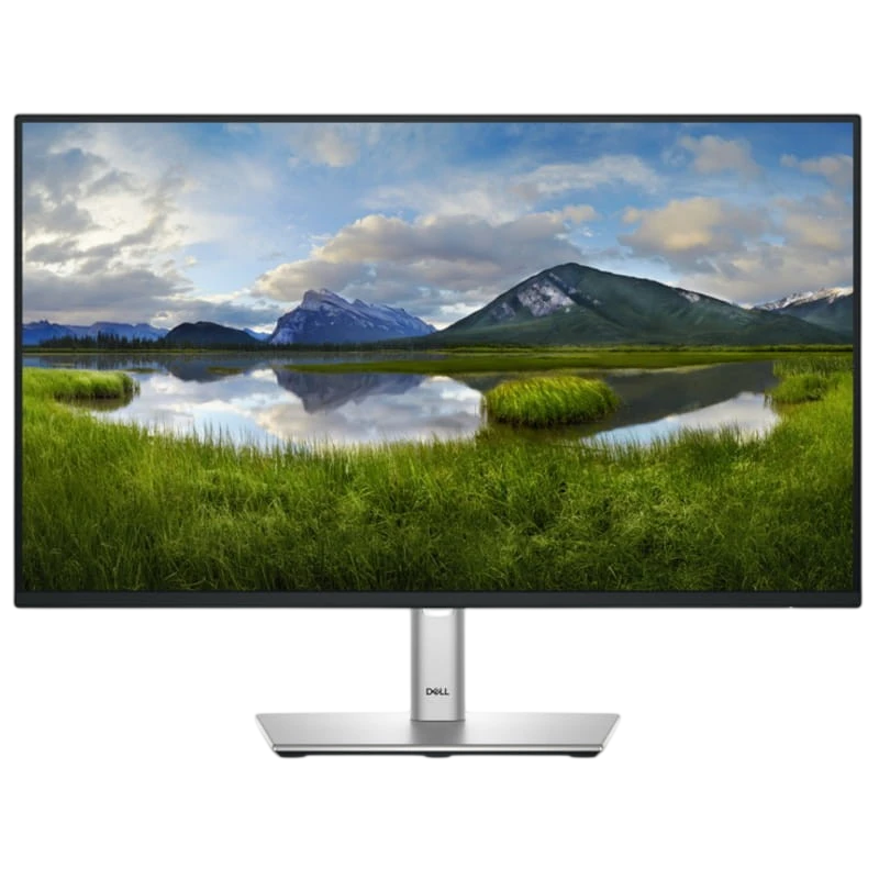 Dell P Series P2425HE 24" FullHD IPS 100Hz Negro