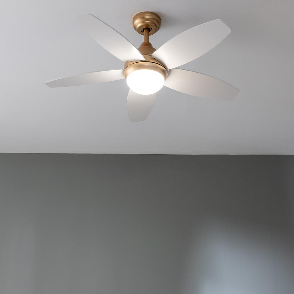 EnergySilence Aero 4200 GoldLightWood