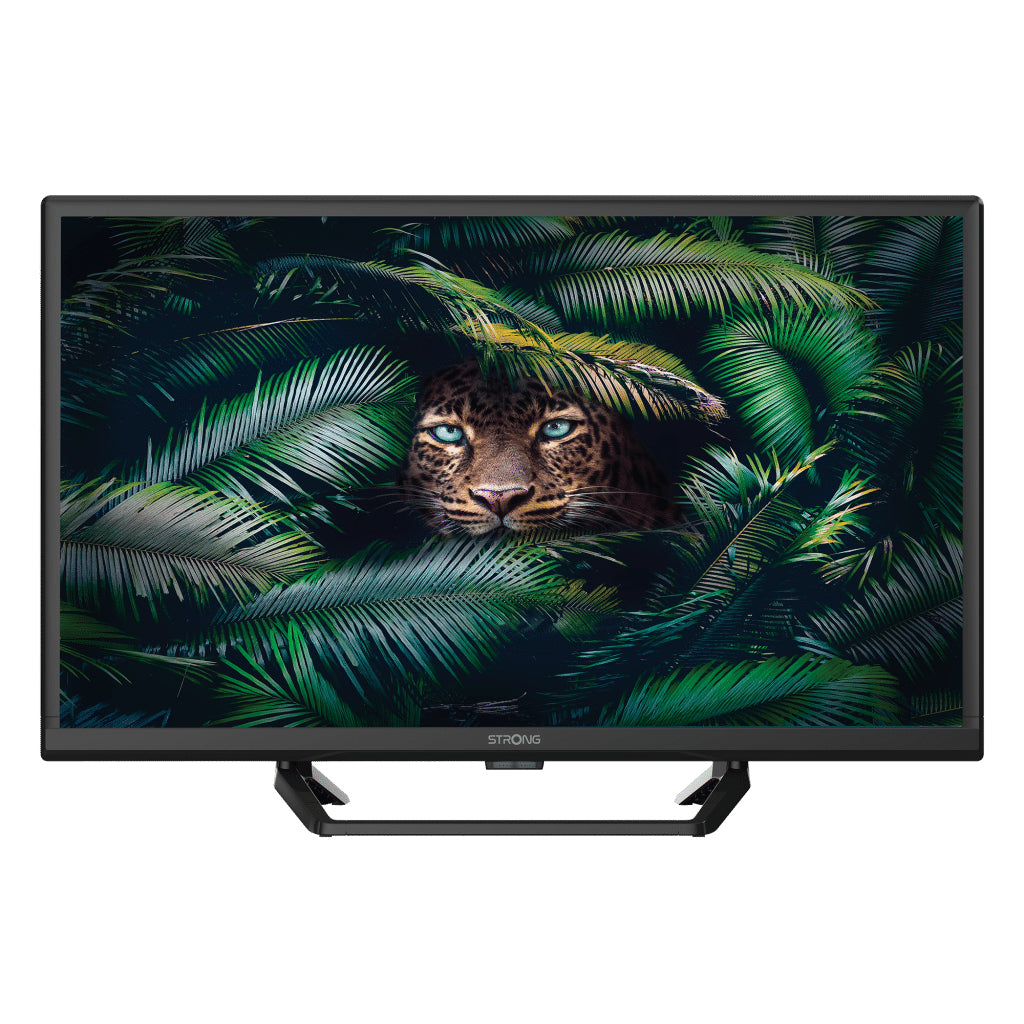SRT 24HE4023C 61 cm (24") HD Negro 180 cd / m²